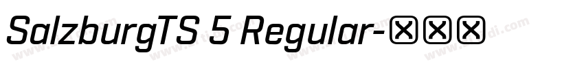 SalzburgTS 5 Regular字体转换
